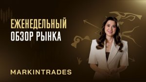 Обзор рынка 24.11.2025