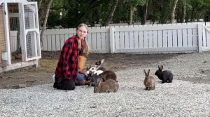 ВЛОГ Мама и Лёша считают что ЭТО очень ДОРОГО ! Ферма Альпак в Анапе обзор !