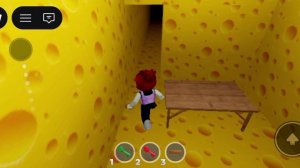 играю в побег от крысы в роблокс