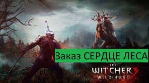 Ведьмак 3 Дикая Охота» Прохождения Заказ СЕРДЦЕ ЛЕСА