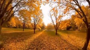 ПРО ангела хранителя