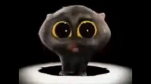 чёрный кот поёт