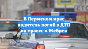 В Пермском крае водитель погиб в ДТП на трассе в Жебреи