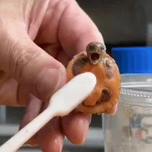 Щекотно же!😅