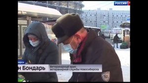 Приколы про бывшего мэра Новосибирска