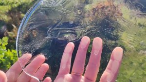 18 октября. Заморозки. На даче очень здорово. Яблоки. Капуста. Заготовки.