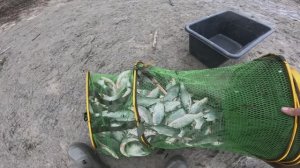 РЕКА ДОН фидерная рыбалка с НОЧЁВКОЙ и РЫБЕЦ