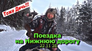Поездка на Нижнюю дорогу 22 11 25