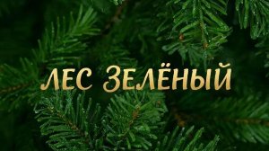 Лес зелёный сл. Якушев Н. В. Муз. Suno. Фото Giga Chat. Max.