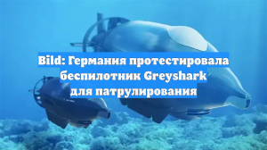 Bild: Германия протестировала беспилотник Greyshark для патрулирования