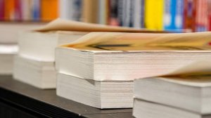 Институт им. Пушкина выбрал словом 2025 года слово «победа»