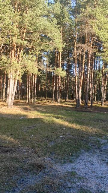 Осень смотреть онлайн