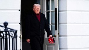 Трамп обвинил в подстрекательстве к мятежу конгрессменов-демократов