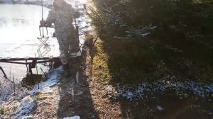 Светлые Горы Форель2 23.11.2025г.