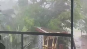 Новости Сегодня 23.11.2025 -  Катаклизмы за сегодня, ЧП, События дня  Китай Индия Европа Россия США