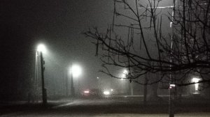 Влог  17-23.11.25  Приобрела помощника. Потеряла подарок 😞