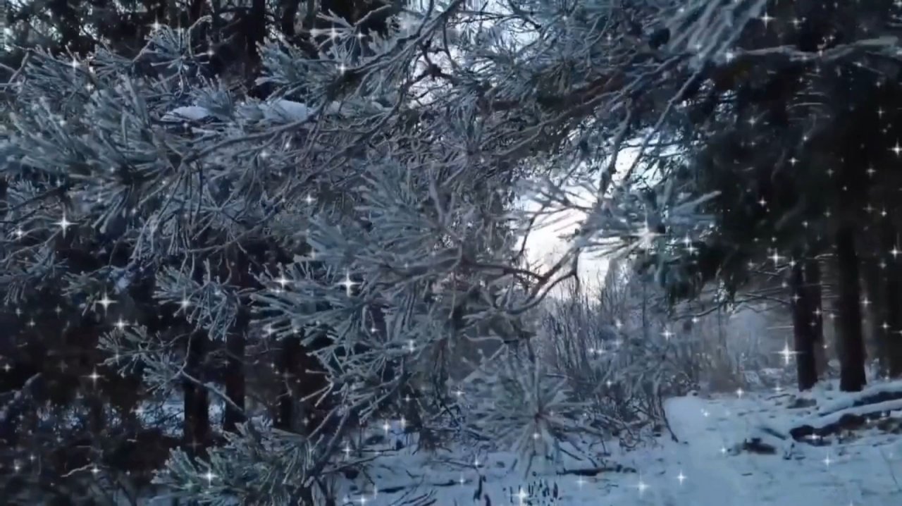 ЗАСЕРЕБРИЛСЯ ИНЕЕМ НОЯБРЬ