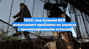 ТАСС: под Сумами ВСУ испытывают проблемы на дорогах с противодронными сетками