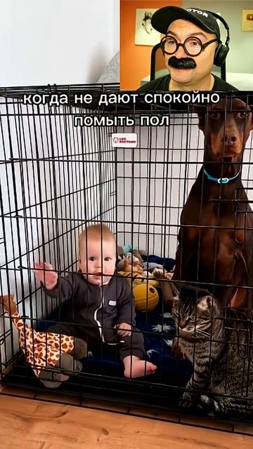 Когда не дают спокойно вымыть пол смотреть онлайн