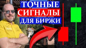 СЕКРЕТЫ ТОЧНЫХ СИГНАЛОВ НА БИРЖЕ. Обзор метатрейдера 23.11.2025