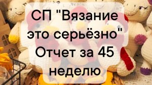 СП "Вязание это серьёзно" отчёт за 45 неделю