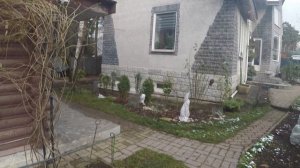 Зимний виноград ч 3