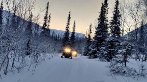 Очарование Петрелиуса в Хибинах
