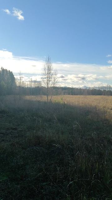 Осень смотреть онлайн