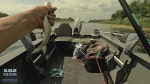 Где крупнее. В РЕКЕ ИЛИ ЗАЛИВЕ?