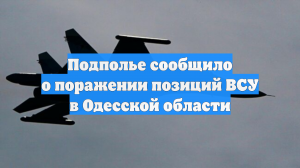 Подполье сообщило о поражении позиций ВСУ в Одесской области