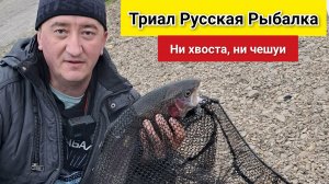 В погоне за трофеем рыбалочка в Триал Русская Рыбалка.