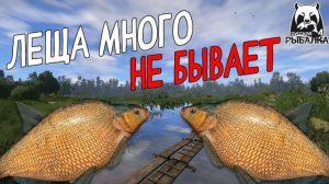 фарм на леще