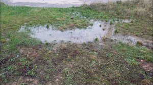 Работа курьером