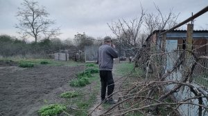 Разбираемся с виноградом. Покупки. Жизнь станичная на пенсии.