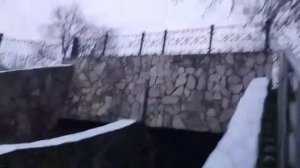 23-11-2025 Голодные уточки