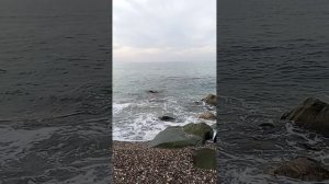 Две ракушки , а промелькнула жизнь ..,😊☺️😌