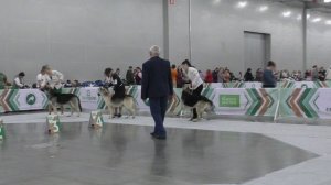 Сравнение рабочего класса