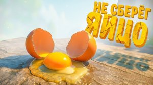 НЕ СБЕРЕГ ЯЙЦО :(