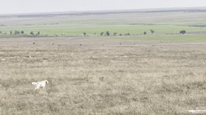 Федора. 23.11.25