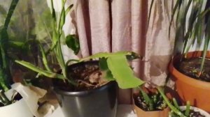 учимся менять постельное белье/ я не могу с нее 🤭😁