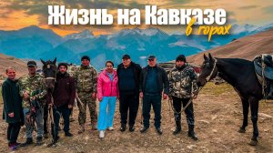 КАВКАЗ! Как живут НАСТОЯЩИЕ ЧАБАНЫ в горах? Стадо ЯКОВ! Настоящий ГОРСКИЙ ШАШЛЫК, Хычины