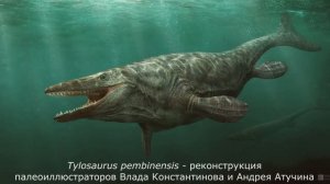 Полярные мозазавры – палеонтолог Дмитрий Григорьев