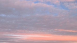 887."Пусть в твои окна смотрит беспечный розовый вечер"💜