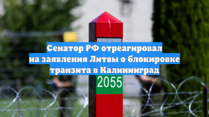 Сенатор РФ отреагировал на заявления Литвы о блокировке транзита в Калининград
