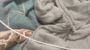 🐇🌈🌊🩷🍓🧋