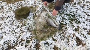 VID_20251123_104154_361