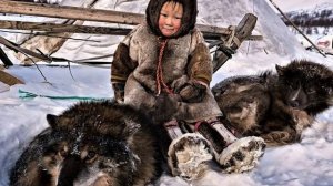 Песня:Тундра