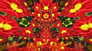 С Днём Рождения 3!!! Осенняя краса!