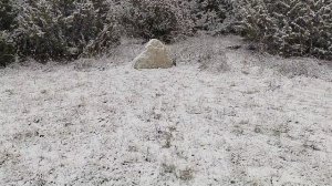 23.11.2025 Пермский Круг Души в с. Бым. Кунгурский р-он. Пермский край