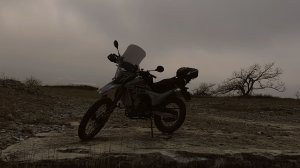 Regulmoto TE Pro. Работа передней вилки.